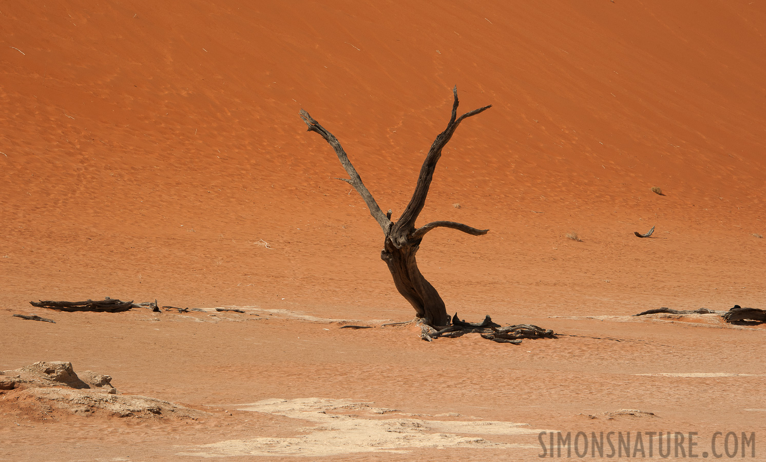 Namib-Naukluft National Park [135 mm, 1/160 sec at f / 13, ISO 400]